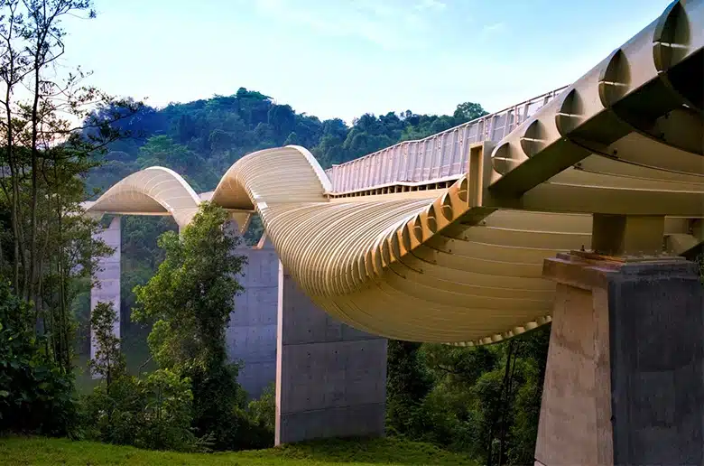 Henderson Waves Bridge